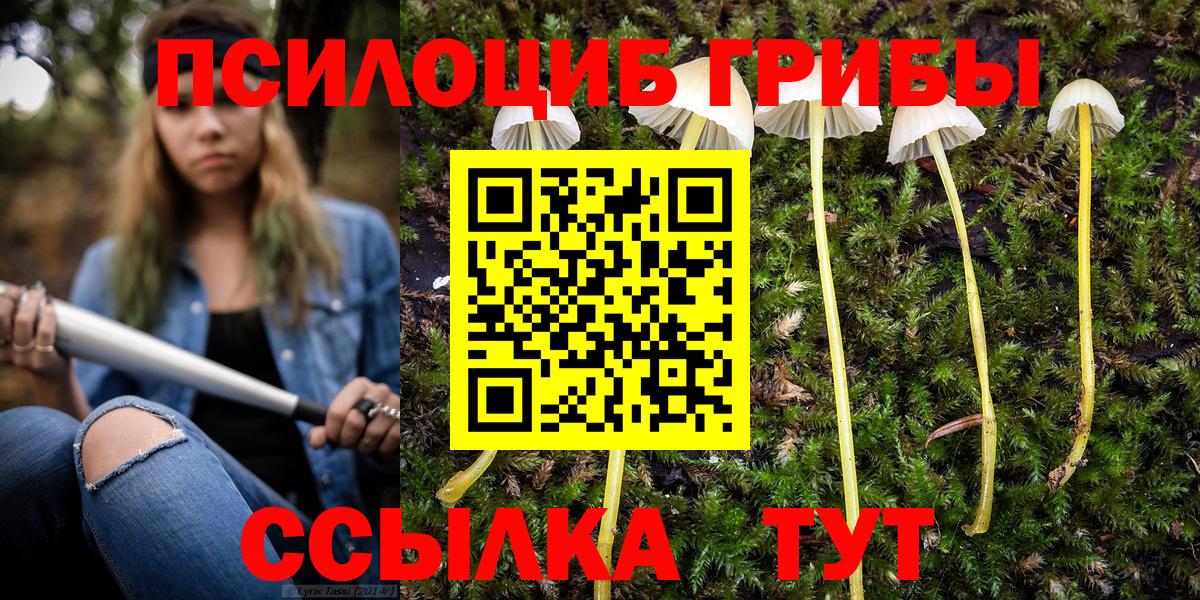 Галлюциногенные грибы GOLDEN TEACHER  Вход с VPN  Соль-Илецк 