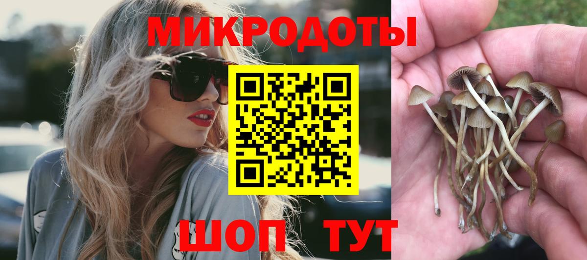 Псилоцибиновые грибы Psilocybine cubensis Соль-Илецк